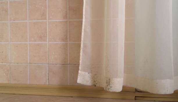 Mold Odor Removal Services in Lawrenceville, NJ