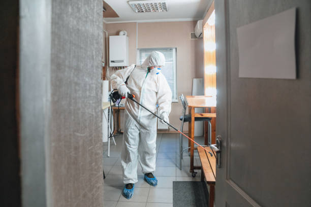 Best Residential Mold Inspection & Testing  in Lawrenceville, NJ