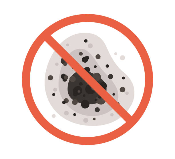 Best Mold Damage Restoration  in Lawrenceville, NJ