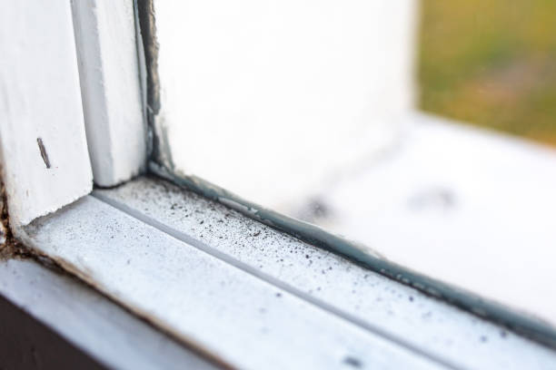Best Mold-Related Health Consultation  in Lawrenceville, NJ