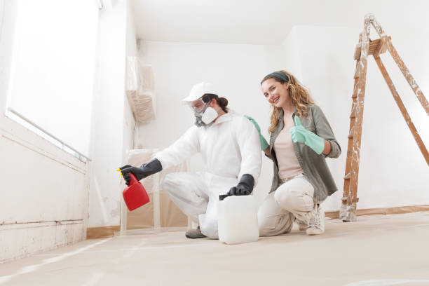 Best Air Quality Testing for Mold Spores  in Lawrenceville, NJ