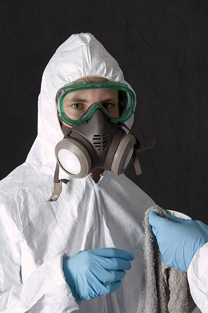Lawrenceville, NJ Mold Removal Company